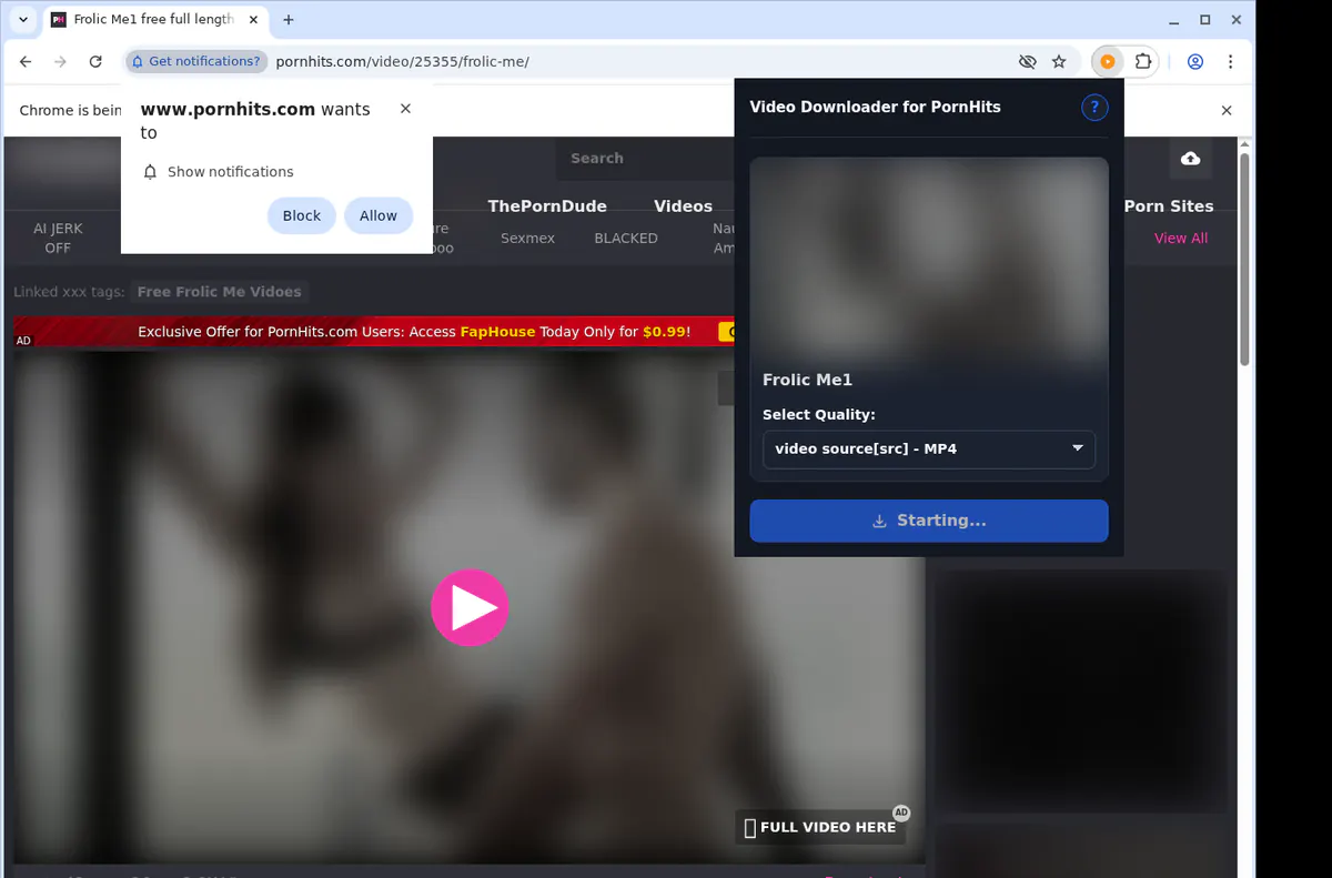 Pornhits Video Downloader browser extension screenshot 2