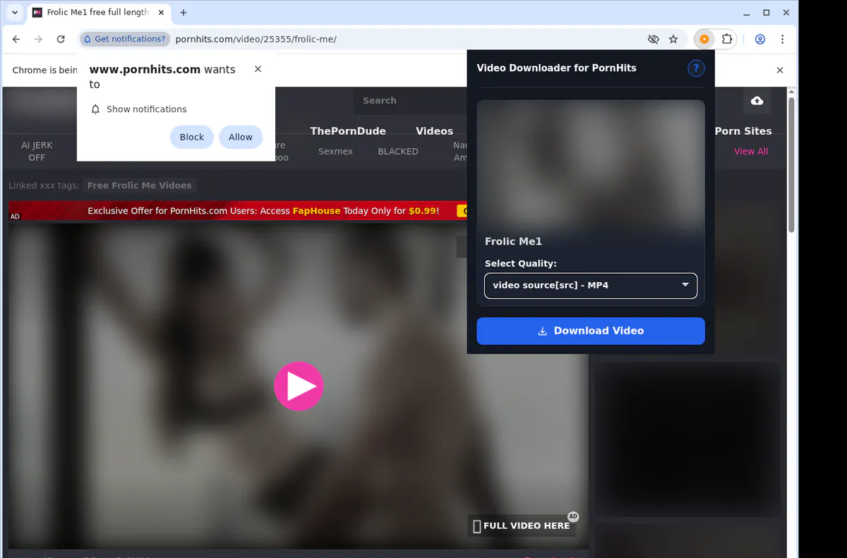 Pornhits Video Downloader browser extension screenshot 3