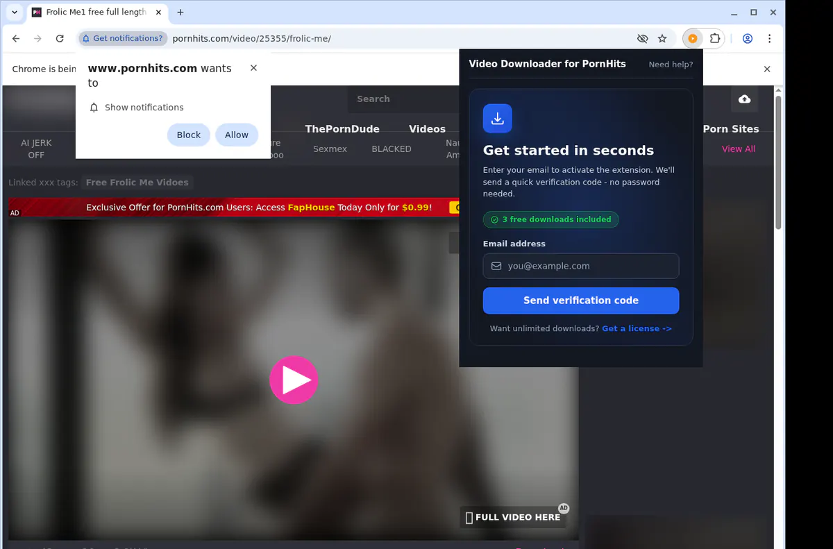 Pornhits Video Downloader browser extension screenshot 5